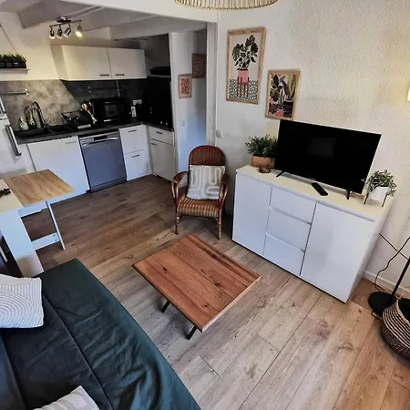 Le Hameau Des Pecheurs - T2 Mezzanine 6 Couchages Port Mae-1633 Villa